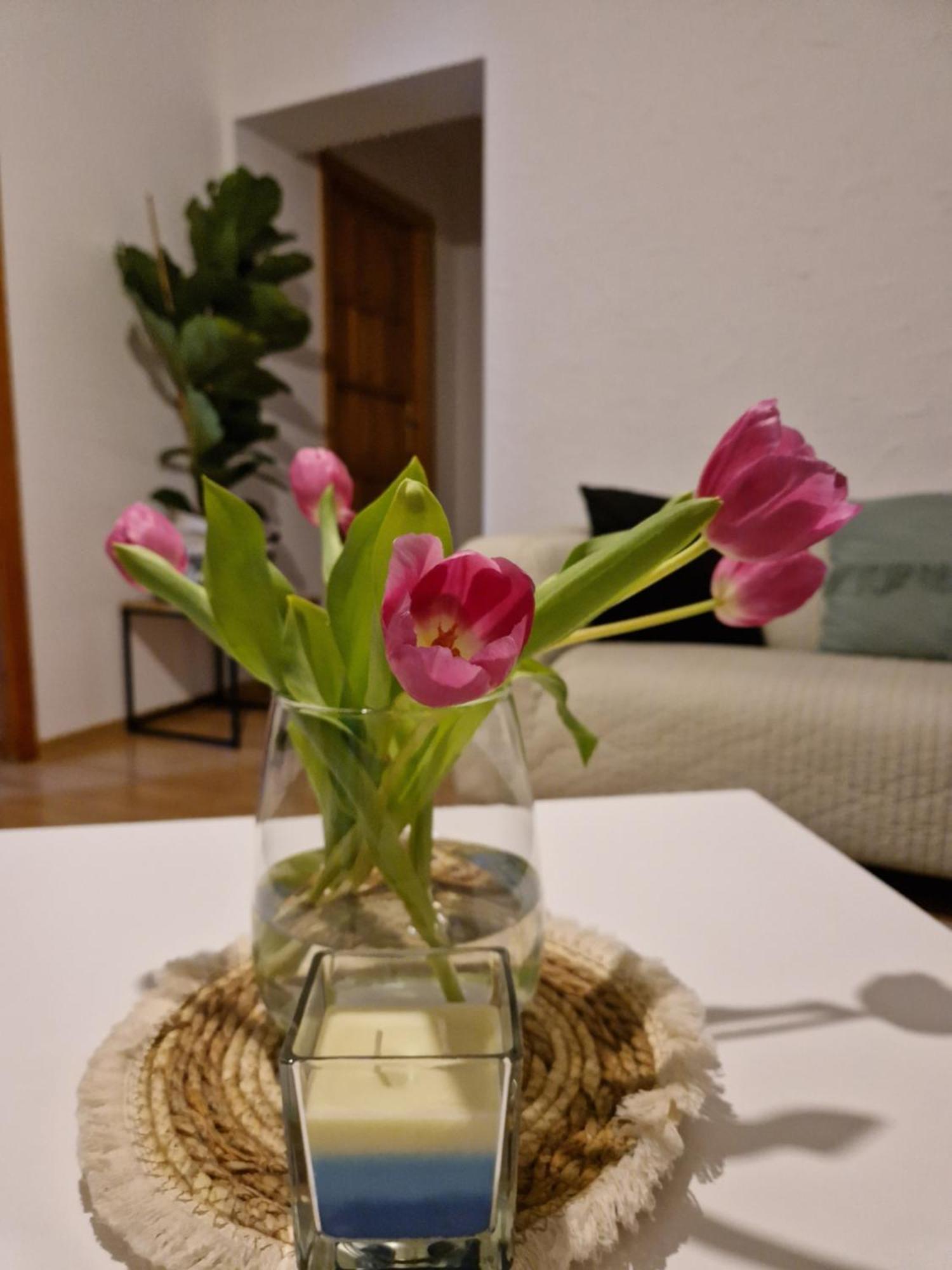 Apartament Mar&Mel Glucholazy ภายนอก รูปภาพ